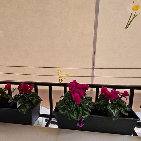 City Center Apartment Тирана Екстериор снимка